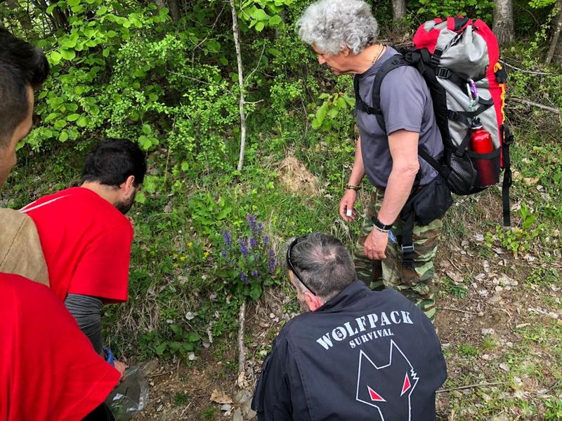 wolfpack wild foraging 20190511_34
Keywords: botanica foraging bushcraft survival piante spontanee medicinali coltello wp-4