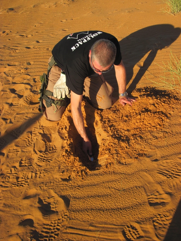 20121117_24_Marocco 494
Keywords: sahara africa survival desert marocco wolfpac camp sopravvivenza deserto del sahara