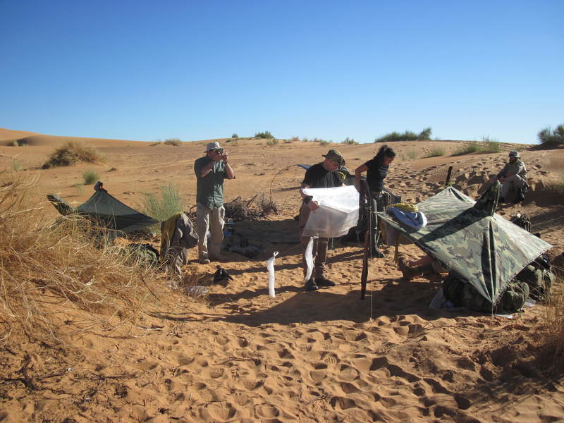 20121117_24_Marocco 540
Keywords: sahara africa survival desert marocco wolfpac camp sopravvivenza deserto del sahara