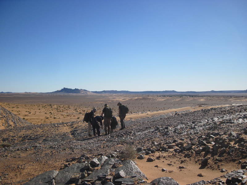 20121117_24_Marocco 560
Keywords: sahara africa survival desert marocco wolfpac camp sopravvivenza deserto del sahara