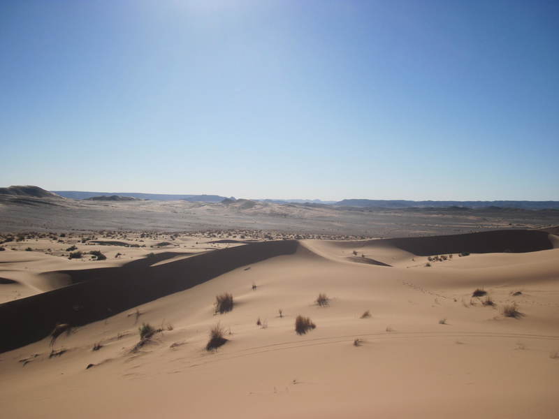 20121117_24_Marocco 618
Keywords: sahara africa survival desert marocco wolfpac camp sopravvivenza deserto del sahara