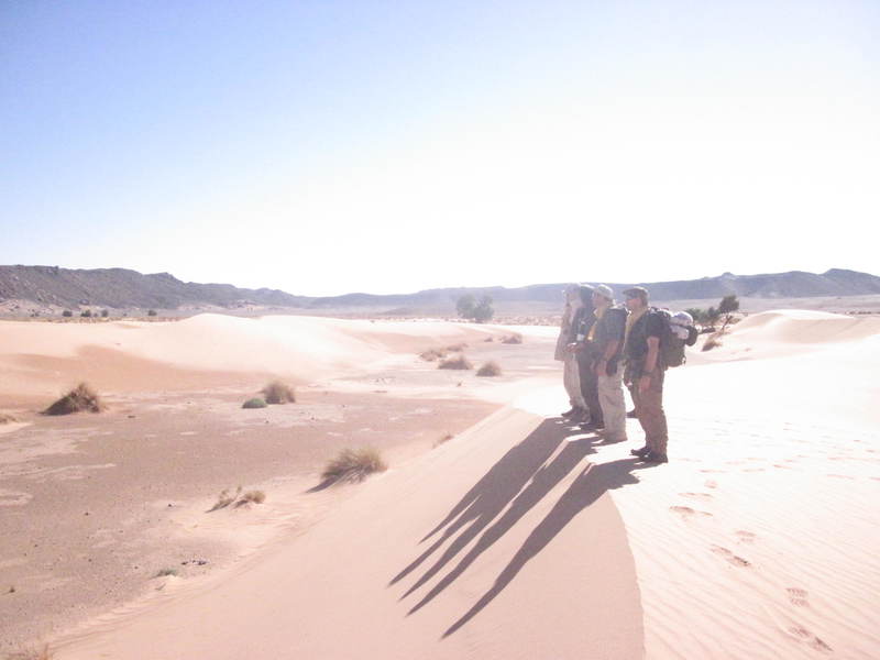 20121117_24_Marocco 729
Keywords: sahara africa survival desert marocco wolfpac camp sopravvivenza deserto del sahara