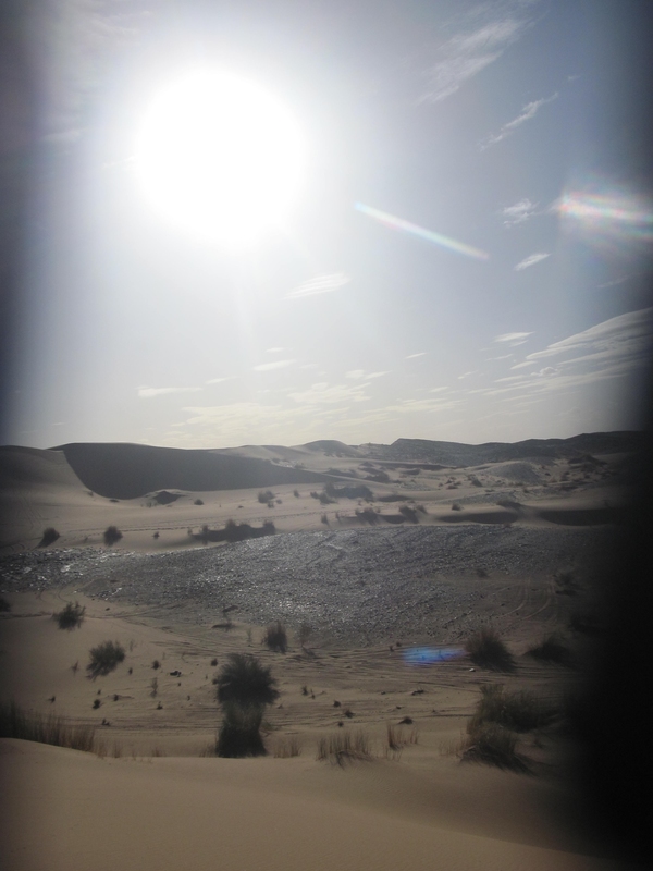 20121117_24_Marocco 843
Keywords: sahara africa survival desert marocco wolfpac camp sopravvivenza deserto del sahara