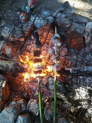 coastal survival_croatia77_20191030
