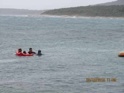 coastal survival_croatia7_20191030
