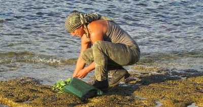 coastal survival_croatia86_20191030
