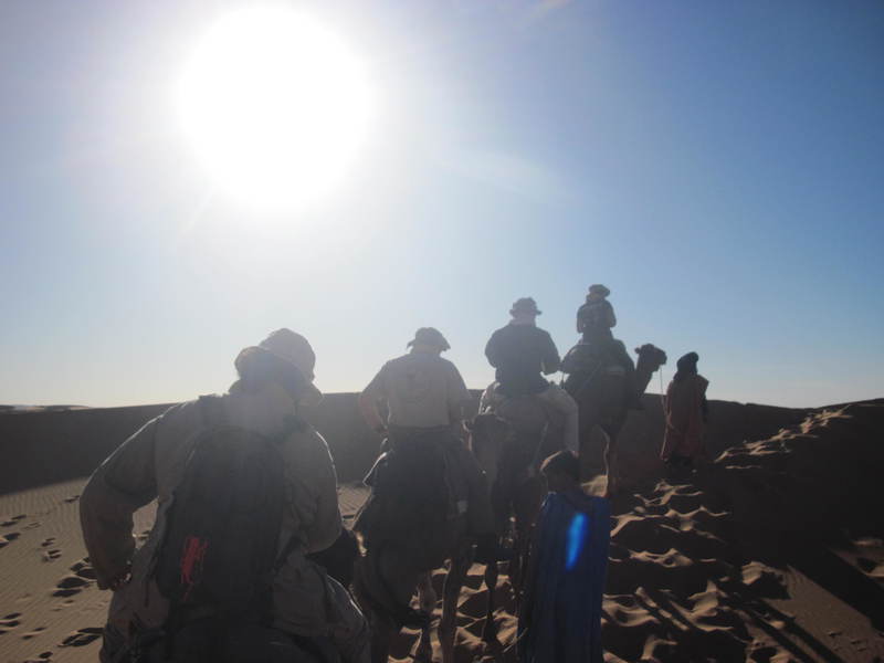 20121117_24_Marocco 1021
Keywords: sahara africa survival desert marocco wolfpac camp sopravvivenza deserto del sahara