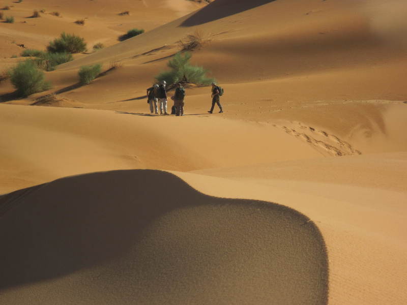20121117_24_Marocco 475
Keywords: sahara africa survival desert marocco wolfpac camp sopravvivenza deserto del sahara