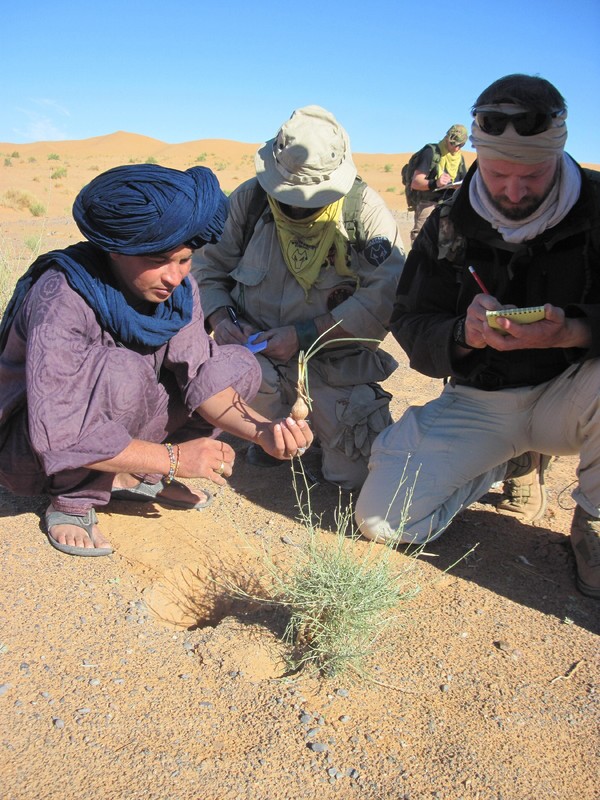 20121117_24_Marocco 549
Keywords: sahara africa survival desert marocco wolfpac camp sopravvivenza deserto del sahara