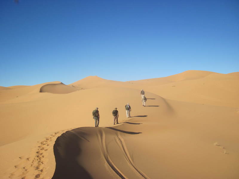 20121117_24_Marocco 613
Keywords: sahara africa survival desert marocco wolfpac camp sopravvivenza deserto del sahara
