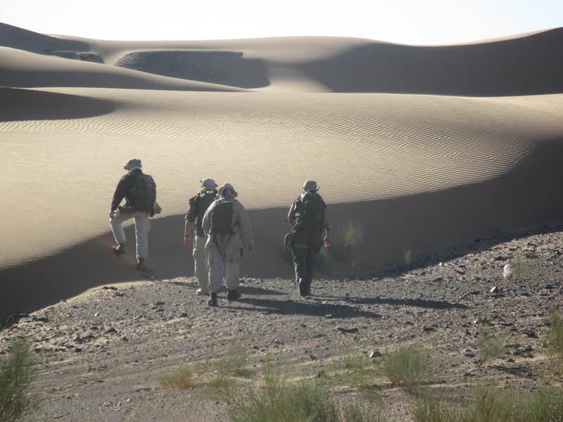 20121117_24_Marocco 652
Keywords: sahara africa survival desert marocco wolfpac camp sopravvivenza deserto del sahara