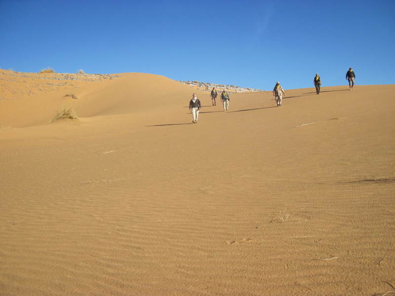 20121117_24_Marocco 685
Keywords: sahara africa survival desert marocco wolfpac camp sopravvivenza deserto del sahara
