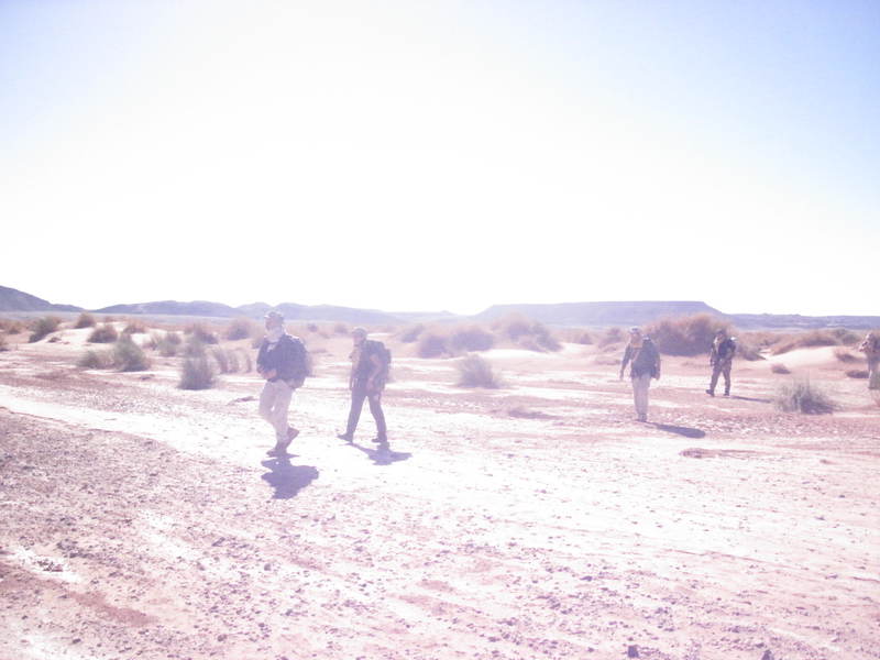 20121117_24_Marocco 723
Keywords: sahara africa survival desert marocco wolfpac camp sopravvivenza deserto del sahara