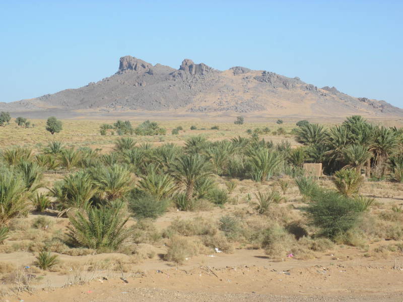 20121117_24_Marocco 792
Keywords: sahara africa survival desert marocco wolfpac camp sopravvivenza deserto del sahara