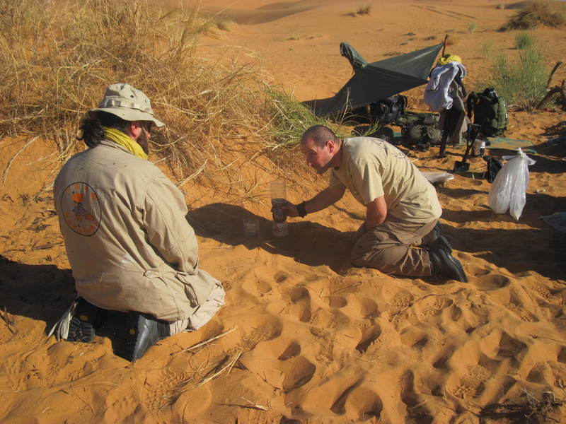 20121117_24_Marocco 910
Keywords: sahara africa survival desert marocco wolfpac camp sopravvivenza deserto del sahara