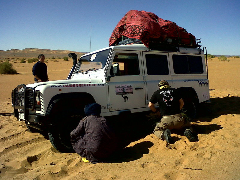 IMG00214-20121119-1100
Keywords: sahara africa survival desert marocco wolfpac camp sopravvivenza deserto del sahara
