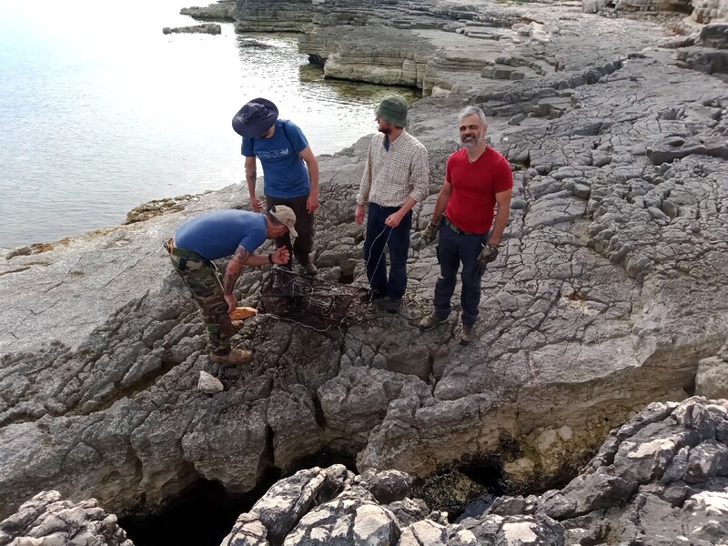 19_foraging_3 (2)
Keywords: coastal survival croazia rescue scuba apnea wolfpack corso sopravvivenza in ambiente costiero