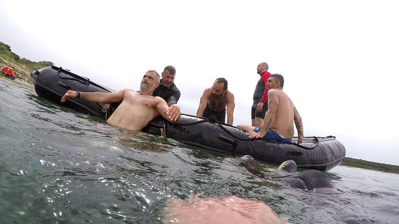 19_zodiac_9 (3)
Keywords: coastal survival croazia rescue scuba apnea wolfpack corso sopravvivenza in ambiente costiero