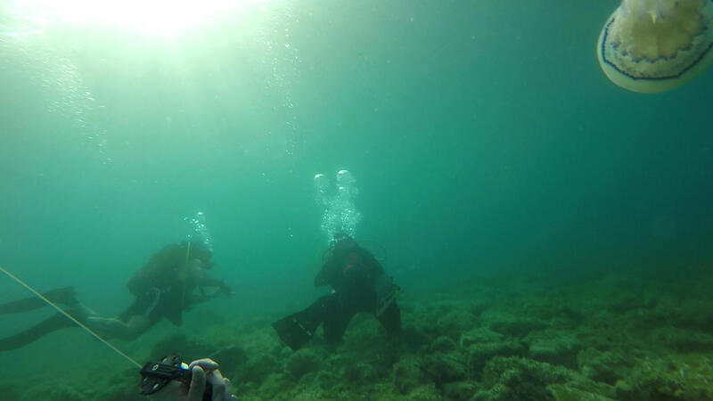 27_scuba_experience_1 (18)
Keywords: coastal survival croazia rescue scuba apnea wolfpack corso sopravvivenza in ambiente costiero
