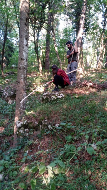 wolfpack alpha survival 20190720_17
Keywords: alpha survival wolfpack teambuilding leadership