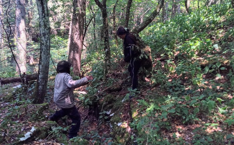 wolfpack alpha survival 20190720_23
Keywords: alpha survival wolfpack teambuilding leadership